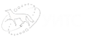 Логотип компании Управление информационных технологий и связи города Сургута