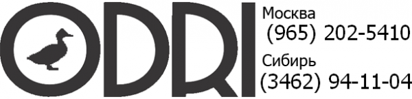 Логотип компании ODRI