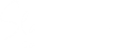 Логотип компании Slanovskiy