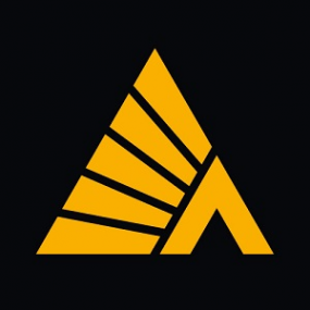 Логотип компании Деловые Линии Сургут